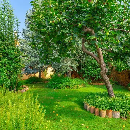 Allure Gardens دوبروفينك