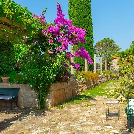 Allure Gardens *