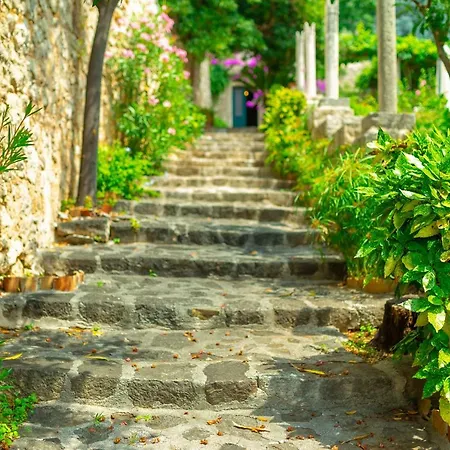 Allure Gardens * دوبروفينك