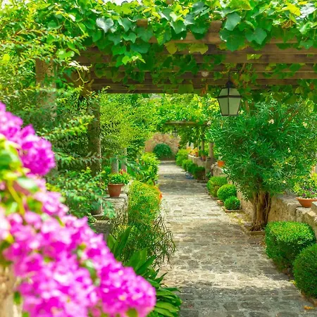 Allure Gardens *